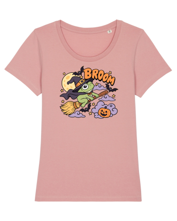 Funny Halloween Frog Witch Broomstick Pumpkin Bat Cute Broom Canyon Pink