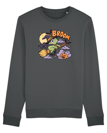 Funny Halloween Frog Witch Broomstick Pumpkin Bat Cute Broom Anthracite