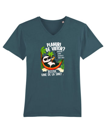 Planuri de viitor? Stargazer