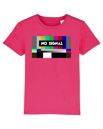 No signal Raspberry