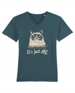 Cat - It's Just Me  Tricou mânecă scurtă guler V Bărbat Presenter