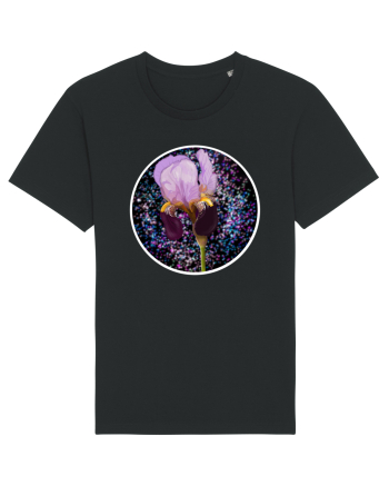 iris Black