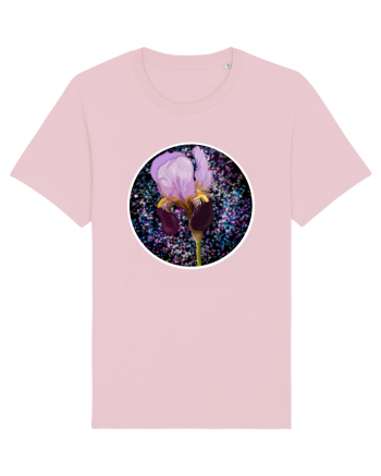 iris Cotton Pink