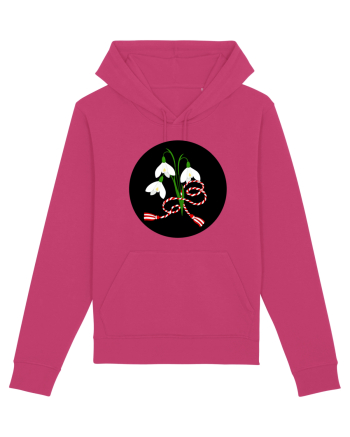 Ghiocel  Raspberry