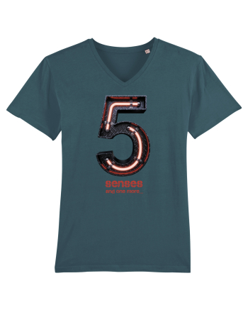 5 senses Stargazer