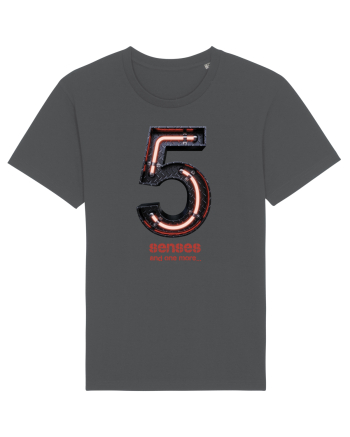 5 senses Anthracite