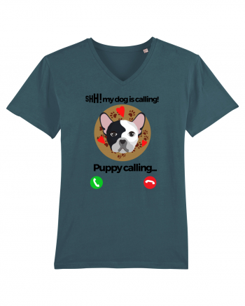 Shh! My dog is calling! Stargazer