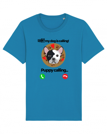 Shh! My dog is calling! Azur