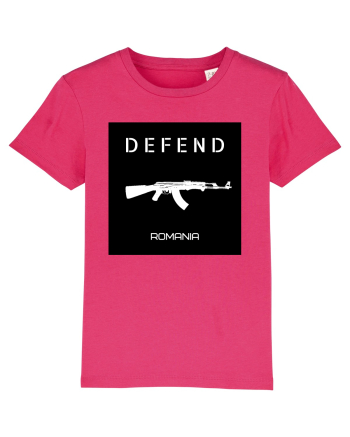 Defend Romania Raspberry