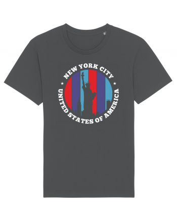 new york statue liberty Anthracite