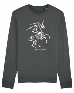 unicorn Bluză mânecă lungă Unisex Rise