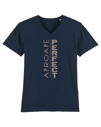 Aproape PERFECT ! French Navy