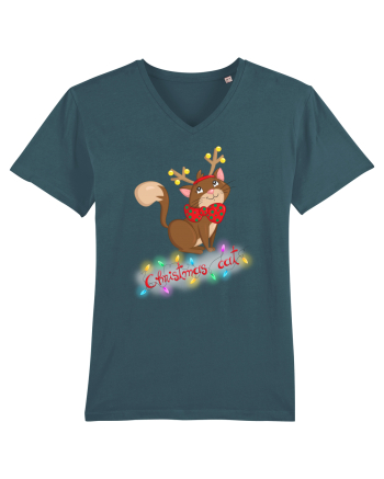 Christmas cat Stargazer
