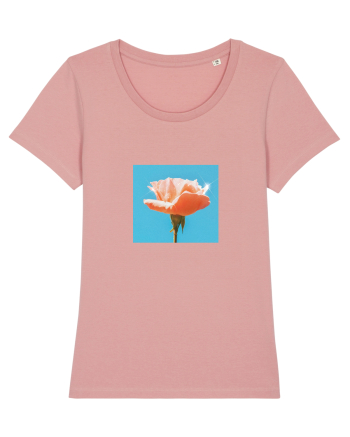 Pure Rose  Canyon Pink