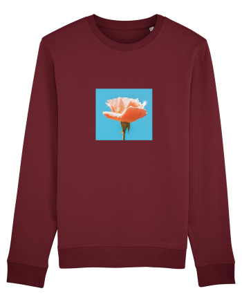 Pure Rose  Burgundy