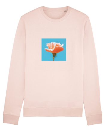 Pure Rose  Candy Pink
