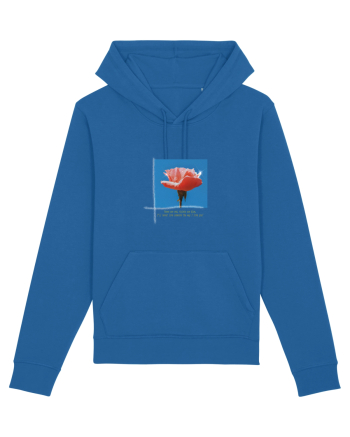 Pure Rose  Royal Blue