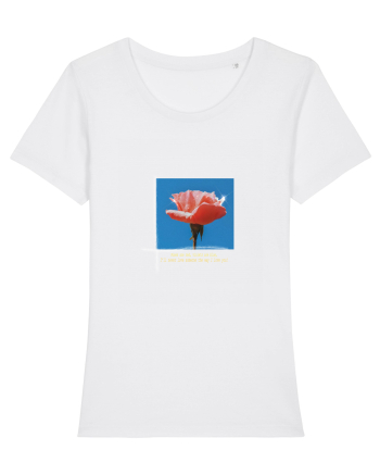Pure Rose  White