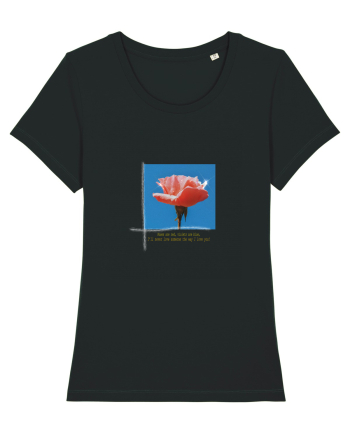 Pure Rose  Black