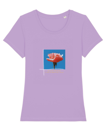 Pure Rose  Lavender Dawn