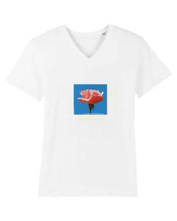 Pure Rose  White