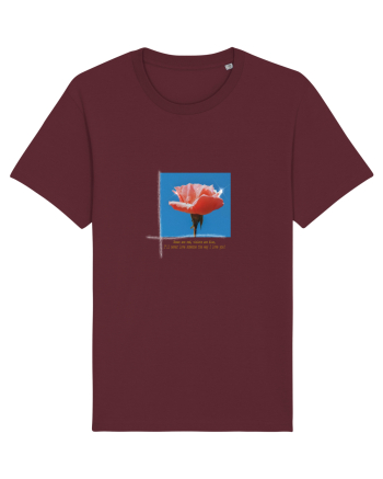 Pure Rose  Burgundy