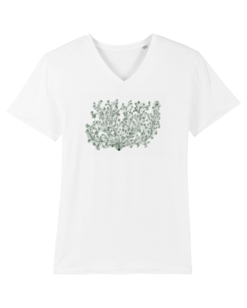 Natura Verde White