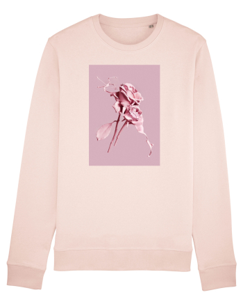 Trandafiri Candy Pink