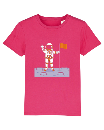 Moon Lander Raspberry
