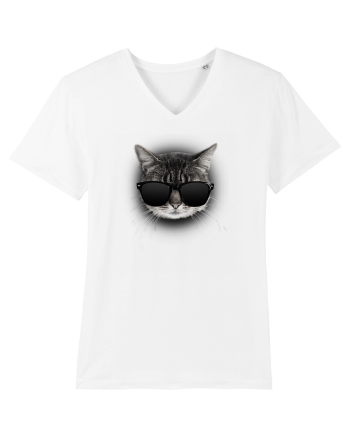 Gangsta cat White