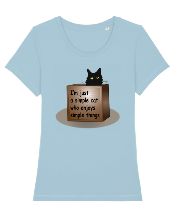 Box Cat Sky Blue
