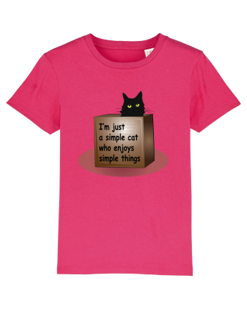 Box Cat Raspberry
