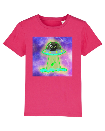UFO CAT Raspberry