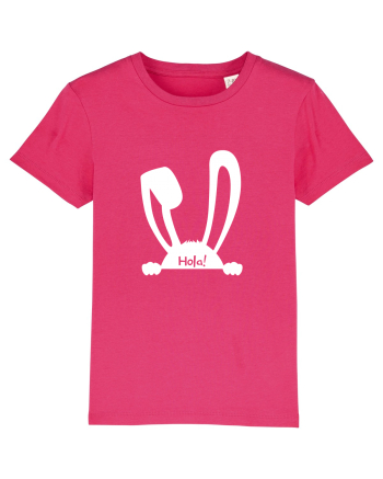 Rabbit Raspberry