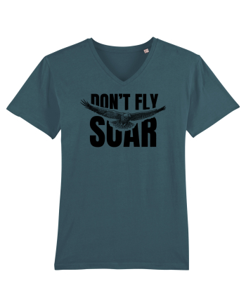 Don't Fly. Soar Stargazer