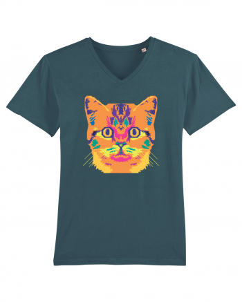 Laser Cat  Stargazer