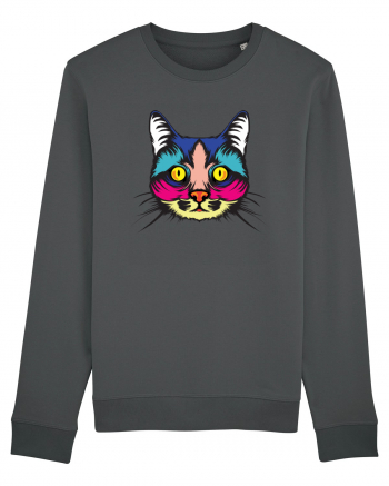 Urban Cat  Anthracite