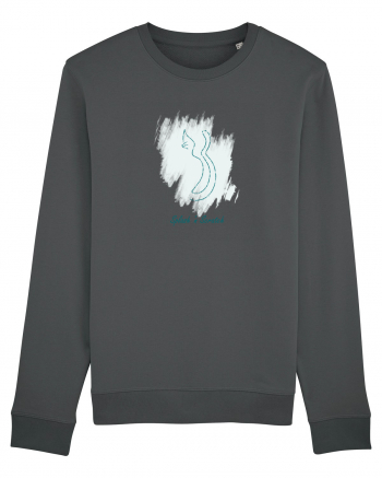 Cat Splash Blue Anthracite