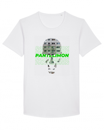 8 cartiere - PANTELIMON White