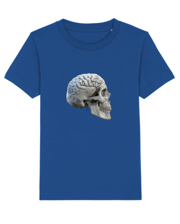 Craniu cu creier - skullbrain 01b Majorelle Blue