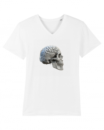 Craniu cu creier - skullbrain 01b White