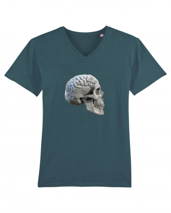 Craniu cu creier - skullbrain 01b Stargazer