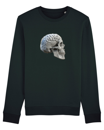Craniu cu creier - skullbrain 01b Black
