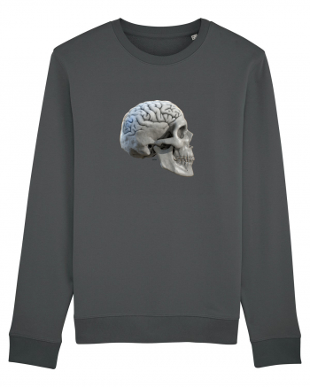 Craniu cu creier - skullbrain 01b Anthracite