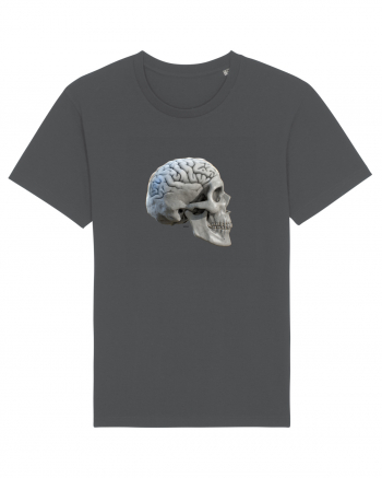 Craniu cu creier - skullbrain 01b Anthracite