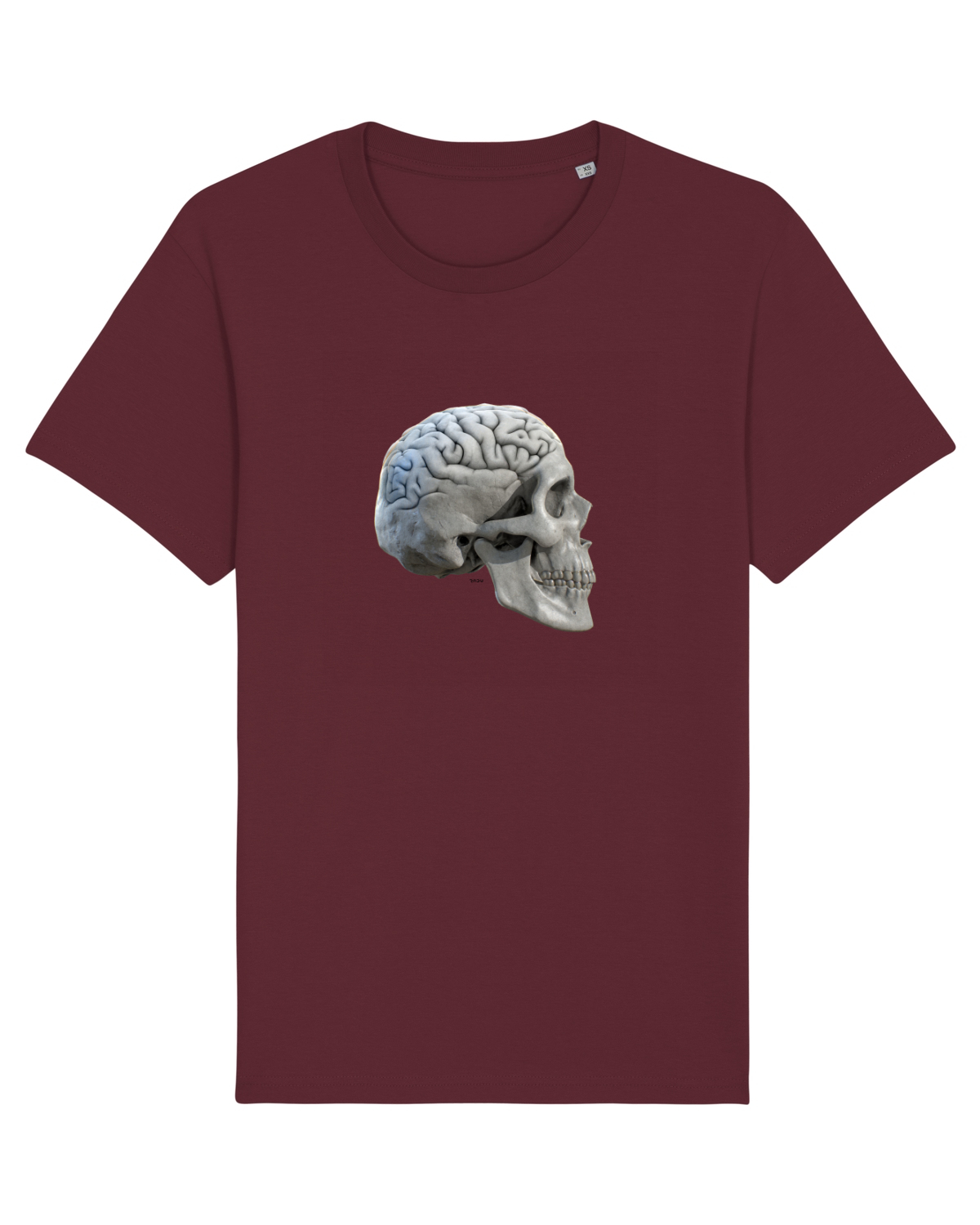 Craniu cu creier - skullbrain 01b