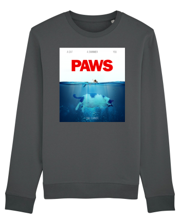 PAWS Anthracite
