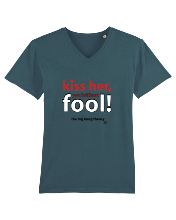 The Big Bang Theory, Kiss Her Stargazer