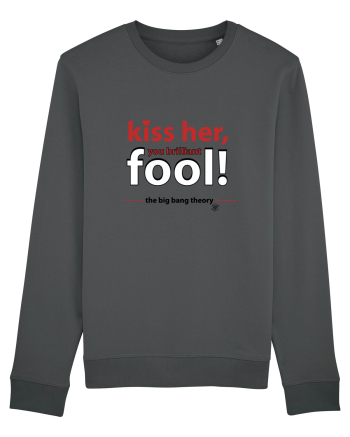 The Big Bang Theory, Kiss Her Anthracite
