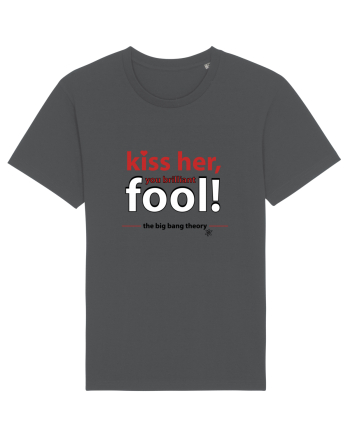 The Big Bang Theory, Kiss Her Anthracite